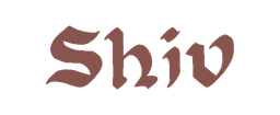 shiv accounting
